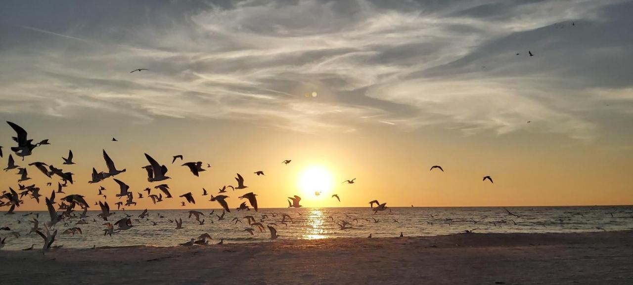 Hébergement de vacances Sunset Vistas 501w St. Pete Beach
