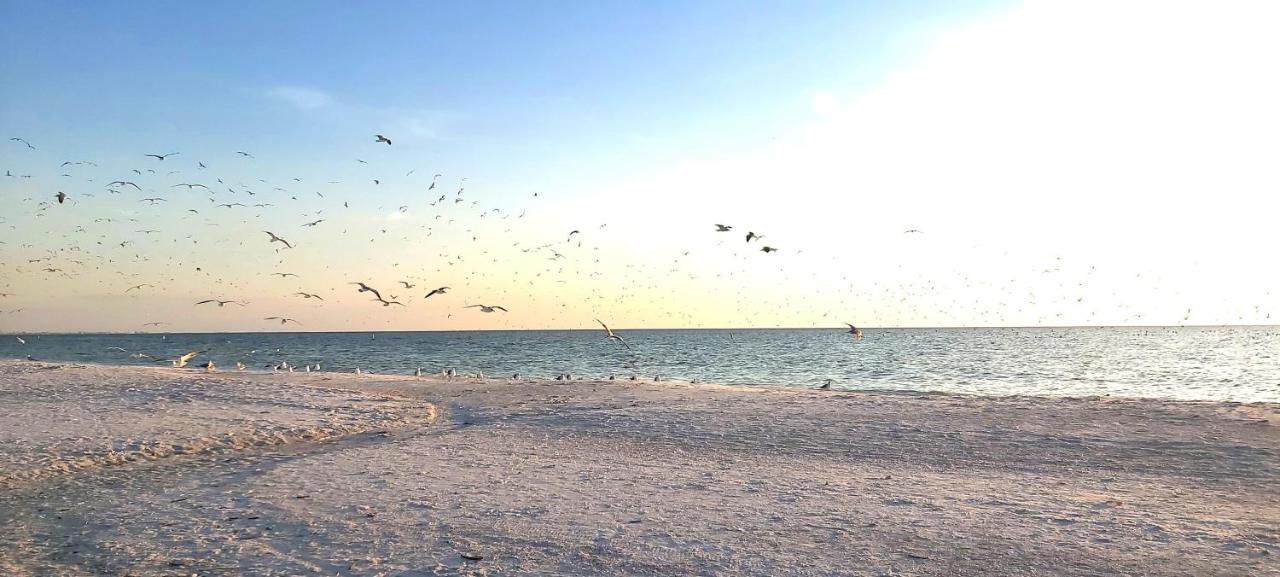 Sunset Vistas 501w * St. Pete Beach